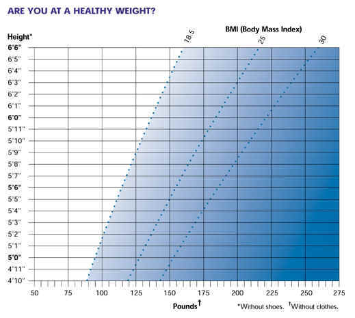 body mass index chart women. Bmi Chart For Women Overweight